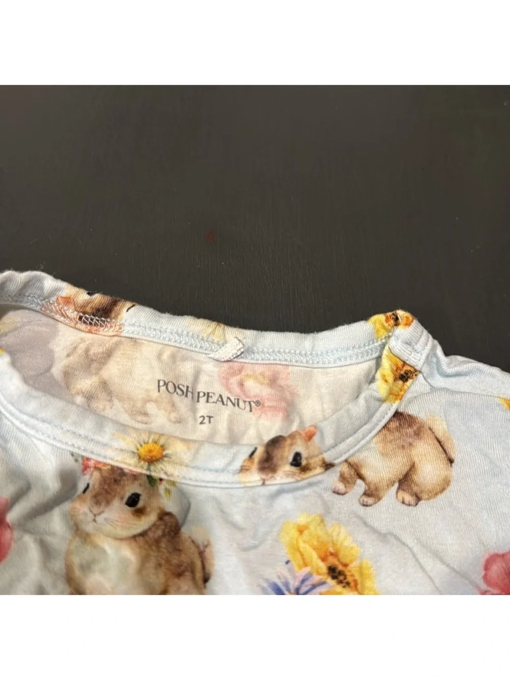 Posh Peanut Tinsley Jane Long Sleeve Pajama - 2T